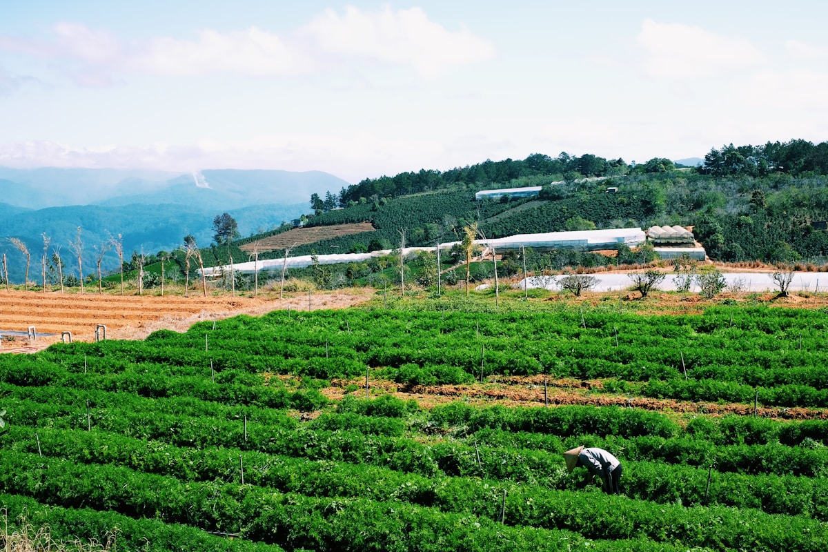 Organic Pest Management